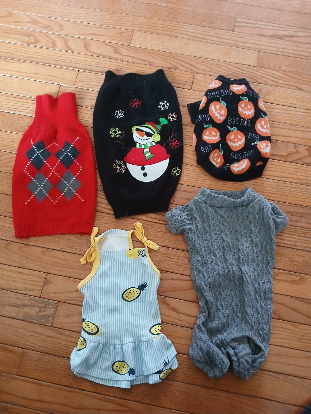 Small Dog Outfits